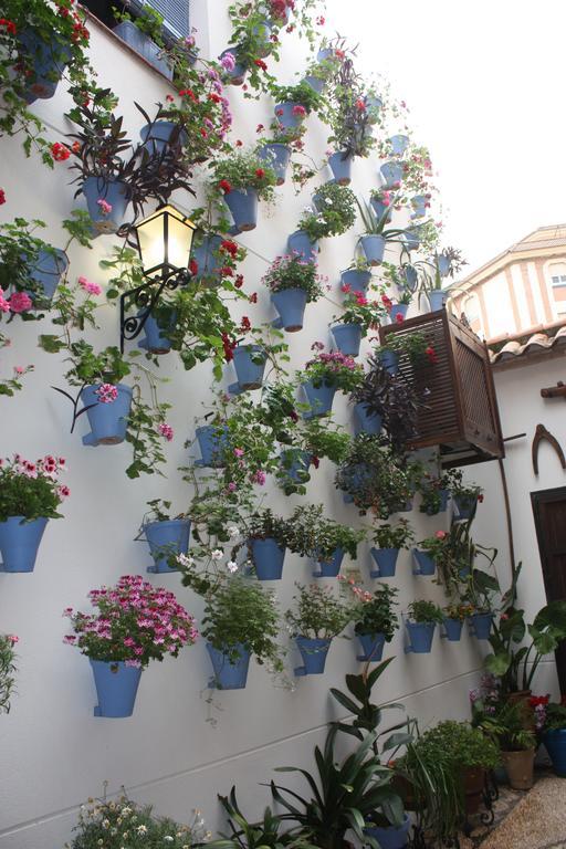 La Posada Del Infante La Puebla de los Infantes Buitenkant foto